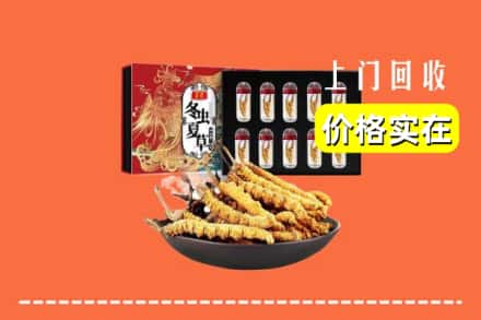 毕节市织金回收冬虫夏草